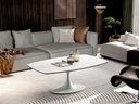 CT1719-WHT 3